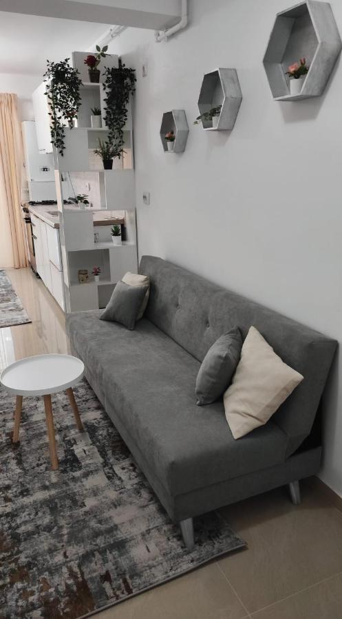 Ego Residence Apartment 克卢日-纳波卡 外观 照片